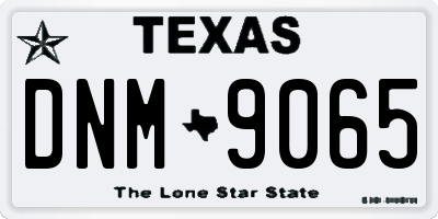 TX license plate DNM9065