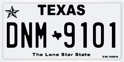 TX license plate DNM9101