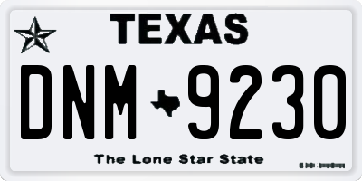 TX license plate DNM9230