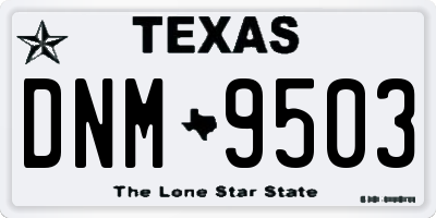 TX license plate DNM9503