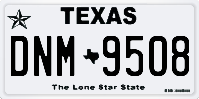 TX license plate DNM9508