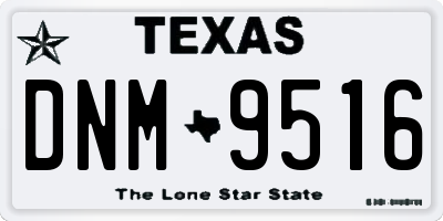 TX license plate DNM9516
