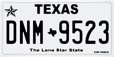 TX license plate DNM9523