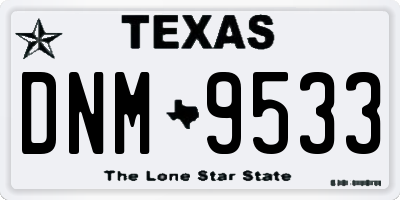 TX license plate DNM9533