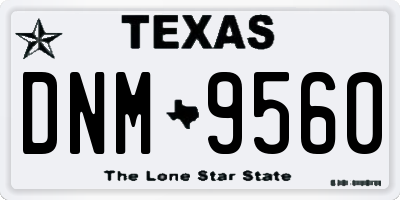 TX license plate DNM9560