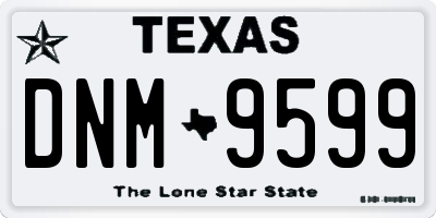 TX license plate DNM9599