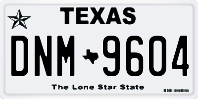 TX license plate DNM9604