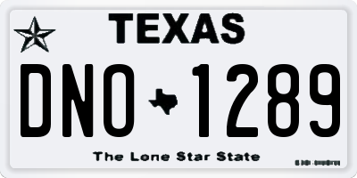 TX license plate DNO1289