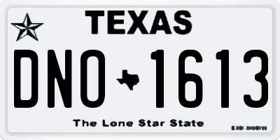 TX license plate DNO1613