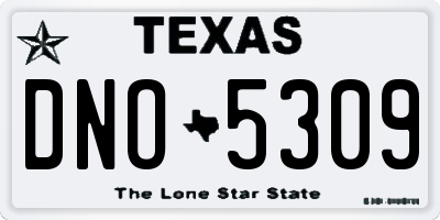 TX license plate DNO5309