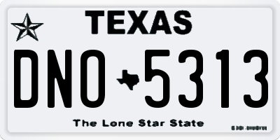 TX license plate DNO5313