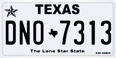 TX license plate DNO7313