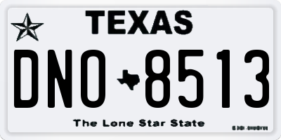 TX license plate DNO8513