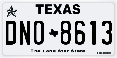 TX license plate DNO8613