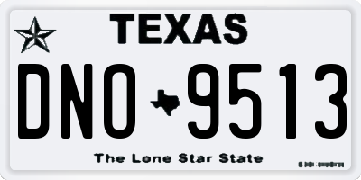 TX license plate DNO9513