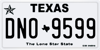 TX license plate DNO9599