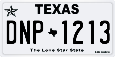 TX license plate DNP1213