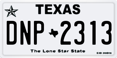 TX license plate DNP2313