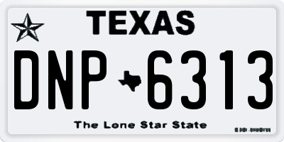 TX license plate DNP6313