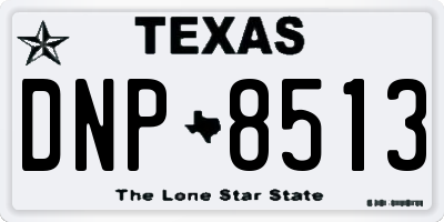 TX license plate DNP8513