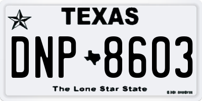 TX license plate DNP8603