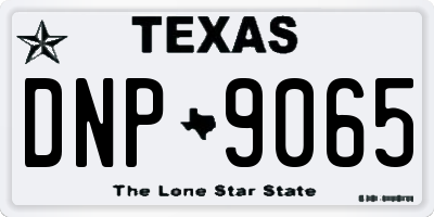 TX license plate DNP9065