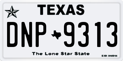 TX license plate DNP9313