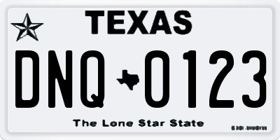 TX license plate DNQ0123