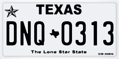 TX license plate DNQ0313