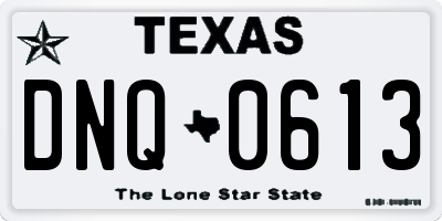 TX license plate DNQ0613