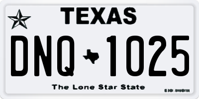 TX license plate DNQ1025