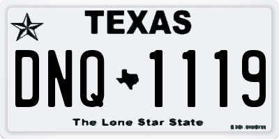 TX license plate DNQ1119