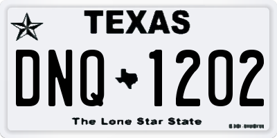 TX license plate DNQ1202