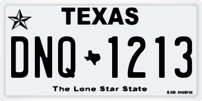 TX license plate DNQ1213