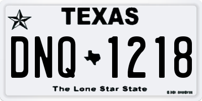 TX license plate DNQ1218