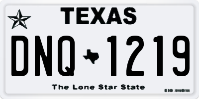 TX license plate DNQ1219