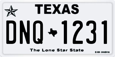 TX license plate DNQ1231