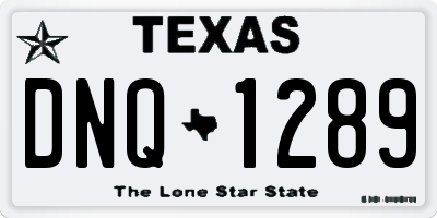 TX license plate DNQ1289
