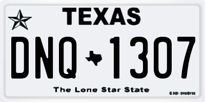 TX license plate DNQ1307