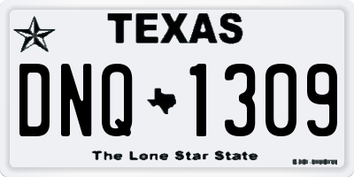TX license plate DNQ1309