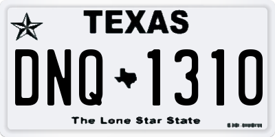TX license plate DNQ1310