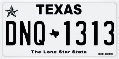 TX license plate DNQ1313