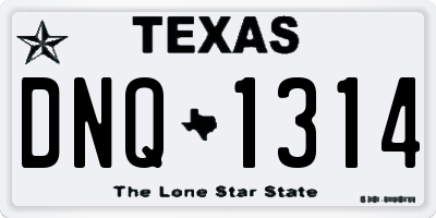 TX license plate DNQ1314