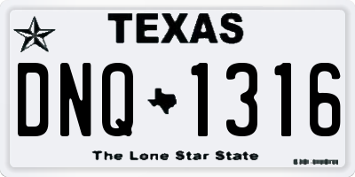 TX license plate DNQ1316