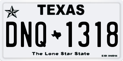 TX license plate DNQ1318