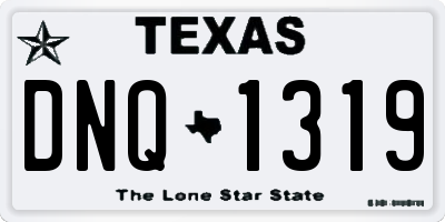 TX license plate DNQ1319