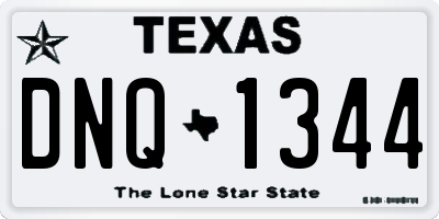 TX license plate DNQ1344