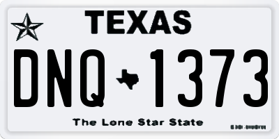 TX license plate DNQ1373