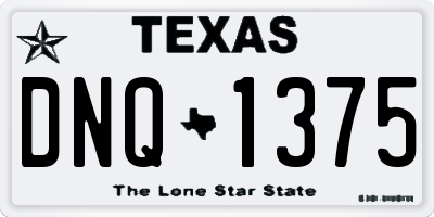 TX license plate DNQ1375