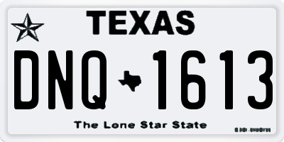 TX license plate DNQ1613